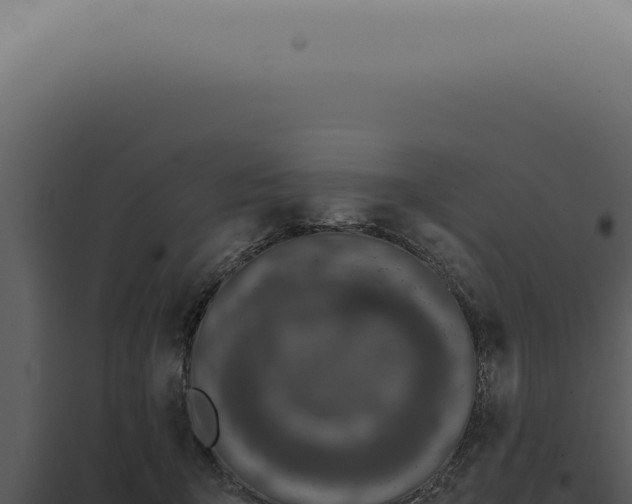 X0000098000415200804011837