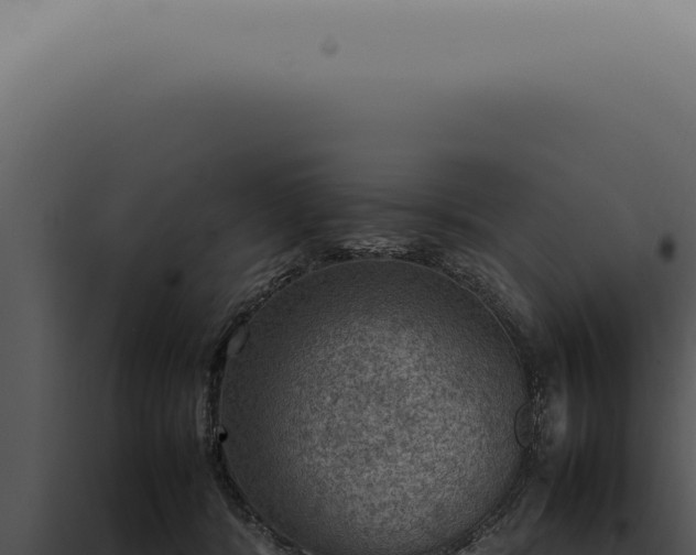 X0000098000416200804011837