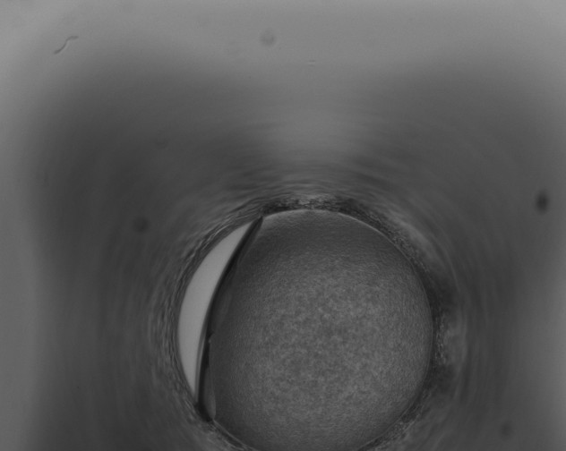X0000098000417200804011837