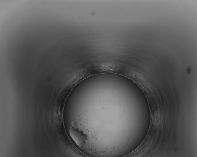 X0000098000418200804011837