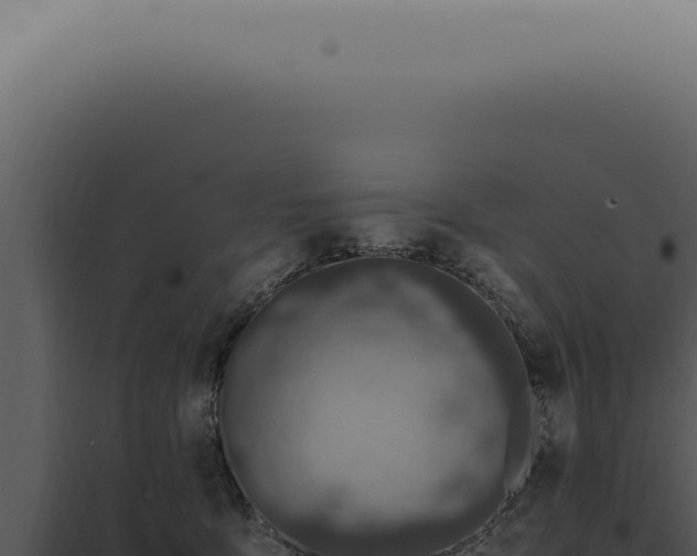 X0000098000419200804011837