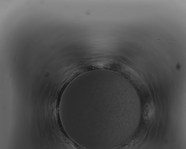 X0000098000420200804011837