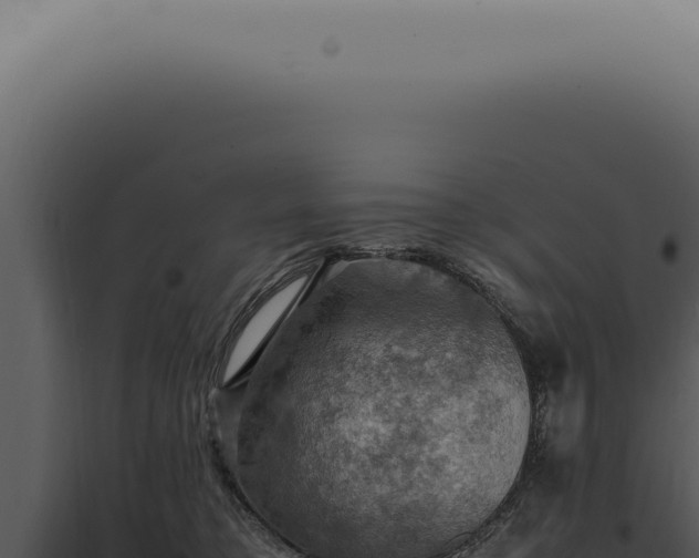 X0000098000421200804011837
