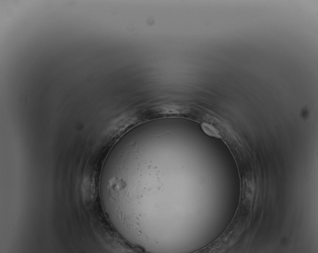 X0000098000422200804011837