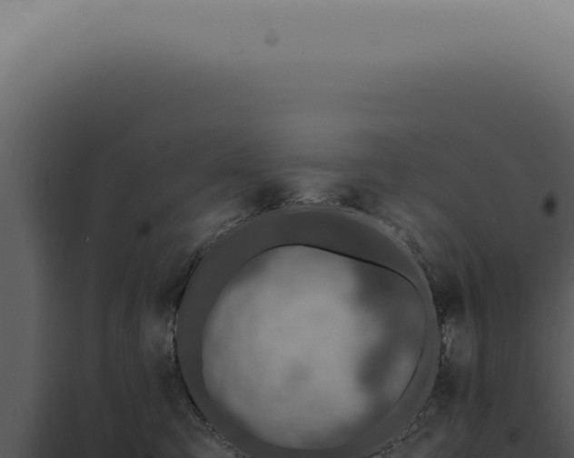 X0000098000423200804011837