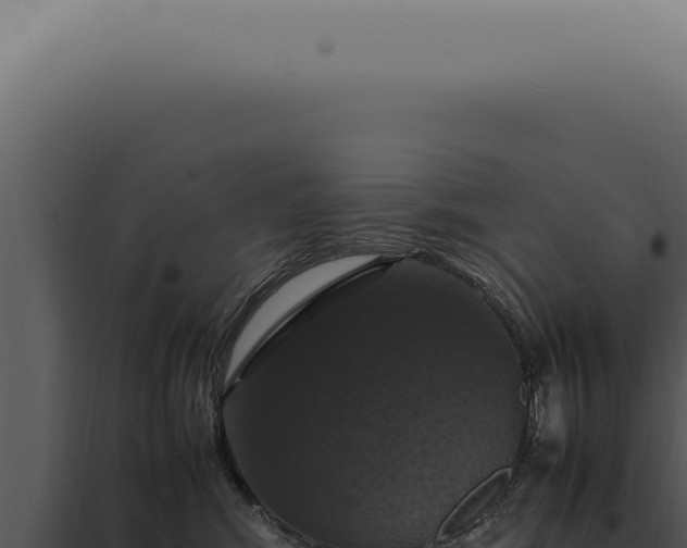X0000098000424200804011837