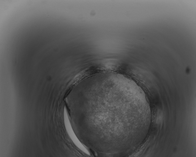 X0000098000425200804011837