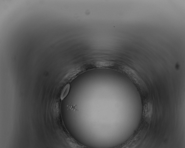 X0000098000426200804011837