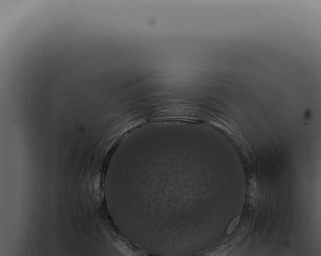 X0000098000428200804011837