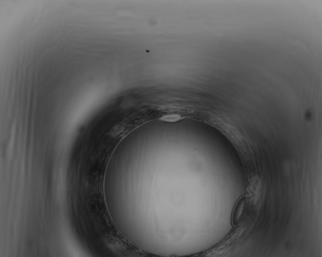 X0000098000430200804011837