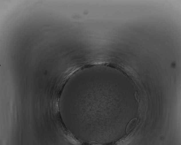 X0000098000432200804011837