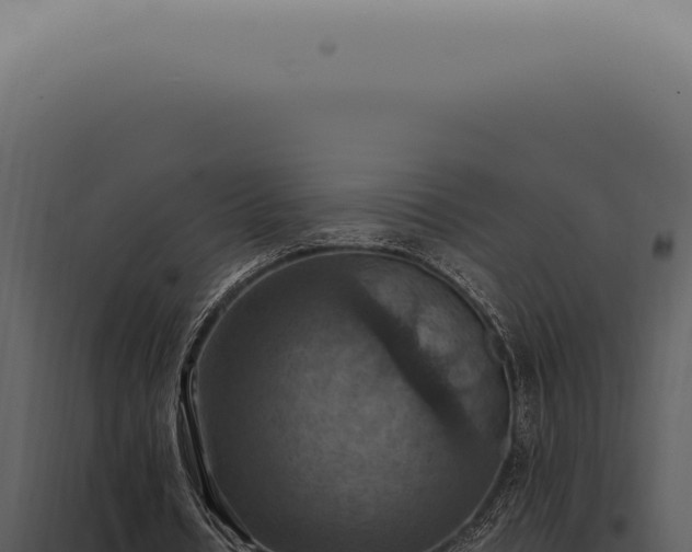 X0000098000434200804011836
