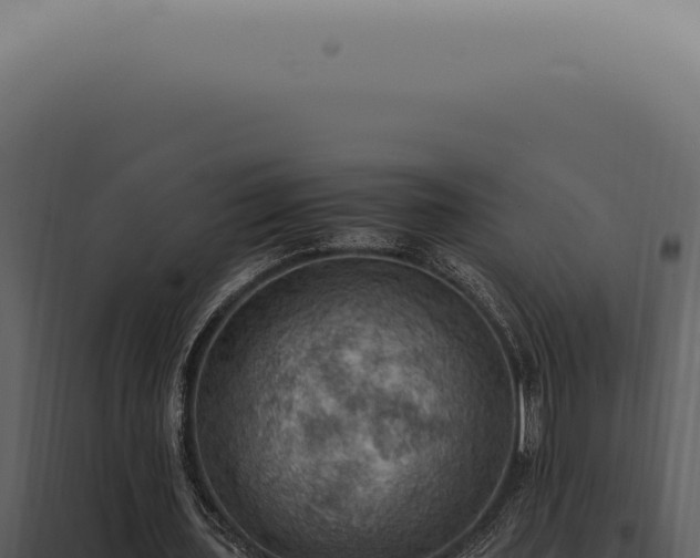 X0000098000435200804011836
