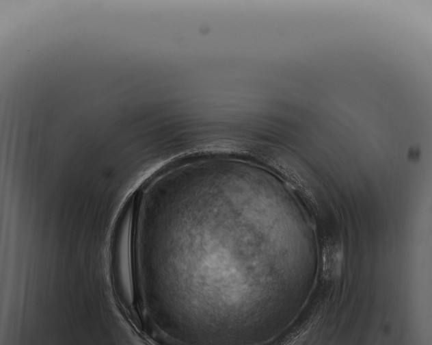 X0000098000436200804011836