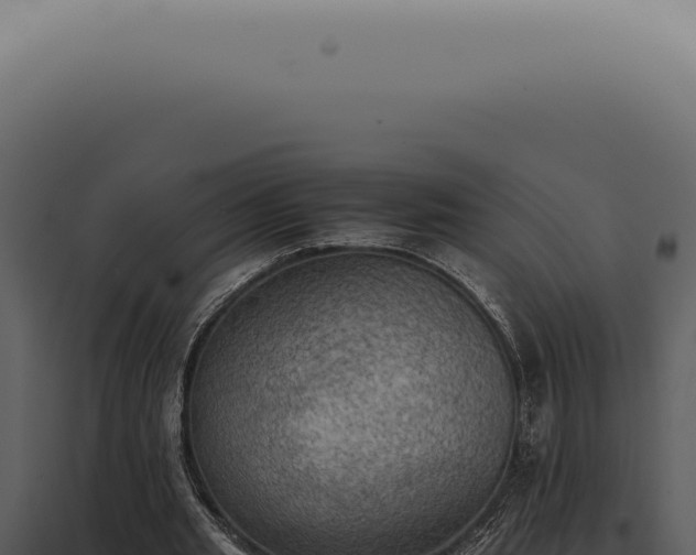 X0000098000437200804011836