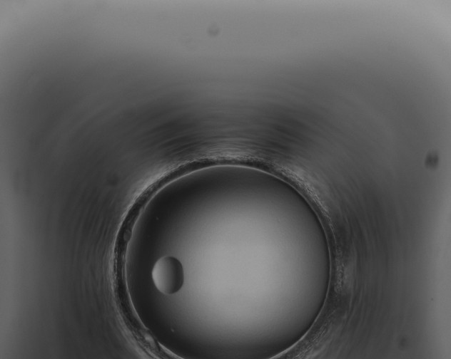 X0000098000439200804011836