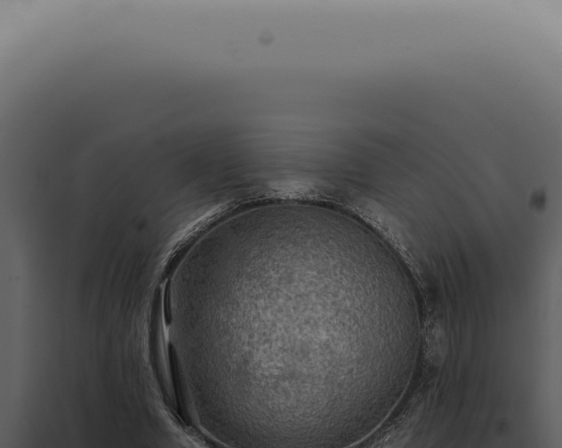 X0000098000442200804011836