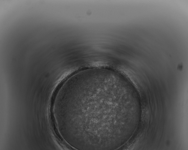 X0000098000443200804011836