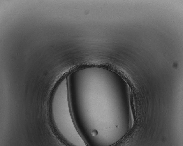 X0000098000444200804011836