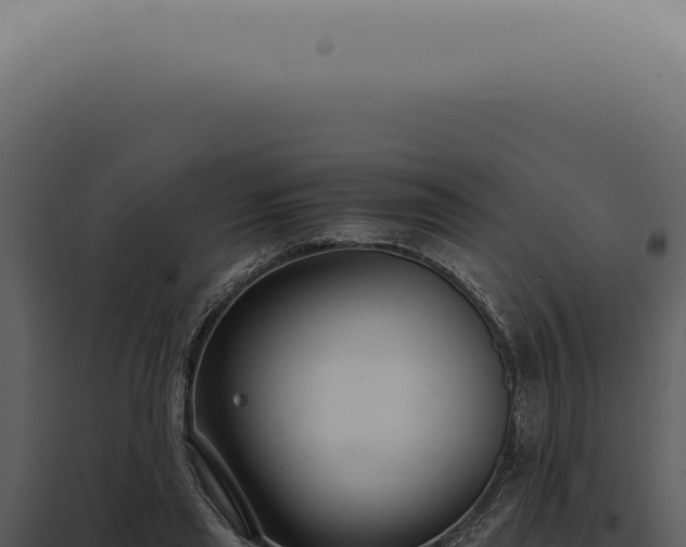X0000098000445200804011836