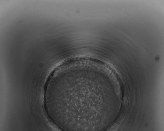 X0000098000446200804011836