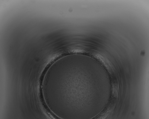 X0000098000447200804011836