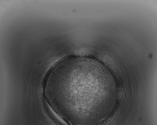 X0000098000448200804011836