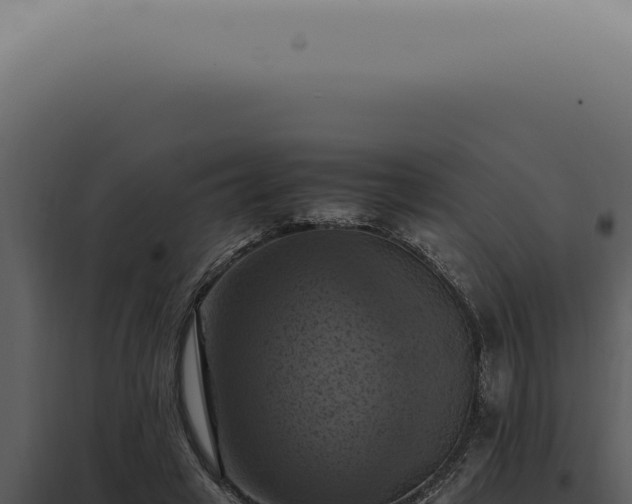 X0000098000449200804011836