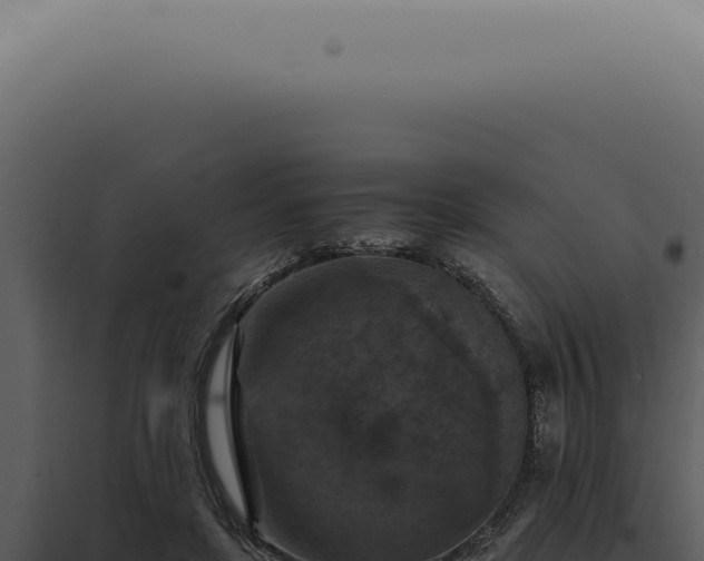 X0000098000451200804011836