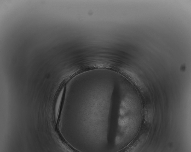X0000098000453200804011836