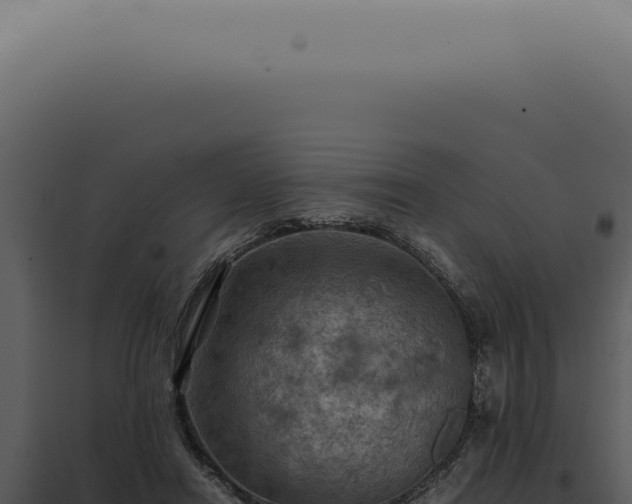 X0000098000454200804011836