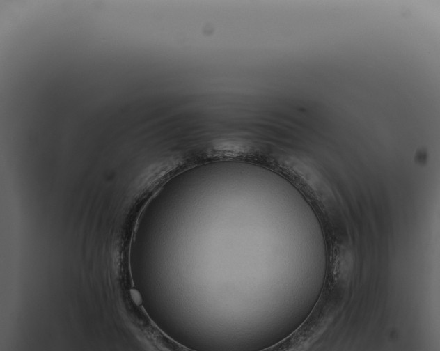 X0000098000455200804011836