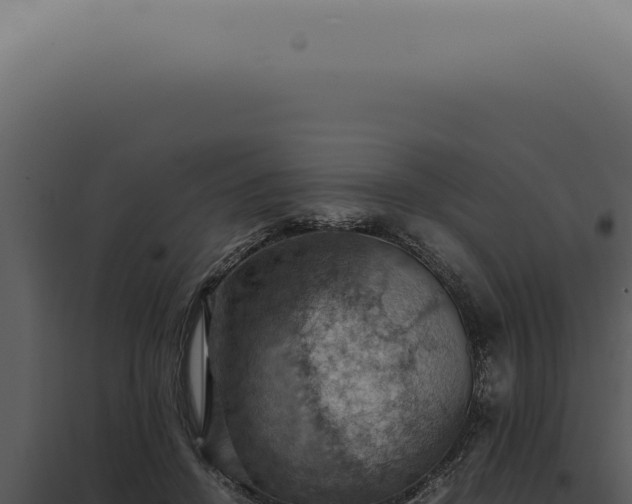 X0000098000456200804011836