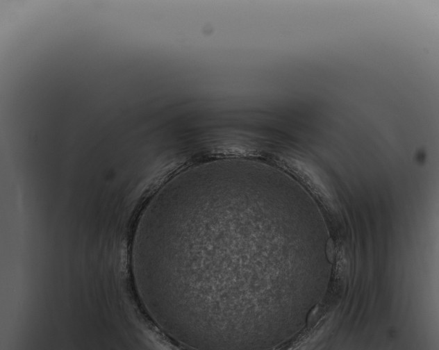 X0000098000457200804011837
