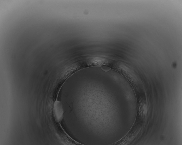 X0000098000459200804011837