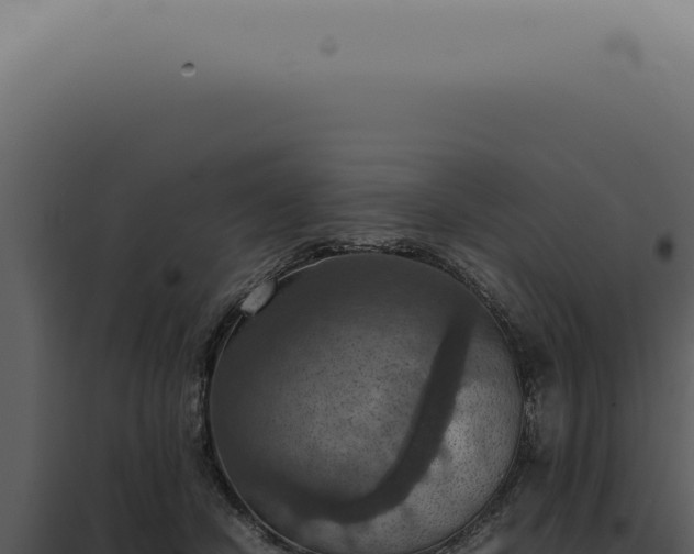 X0000098000462200804011837