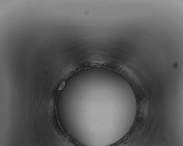 X0000098000463200804011837