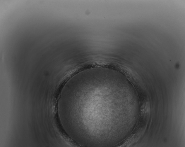 X0000098000464200804011837