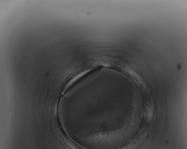 X0000098000465200804011837