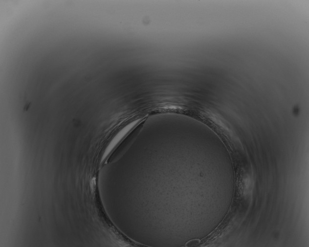 X0000098000467200804011837