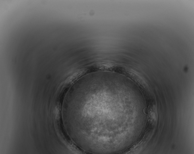 X0000098000468200804011837