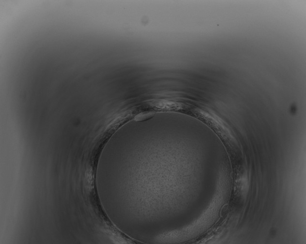 X0000098000469200804011837