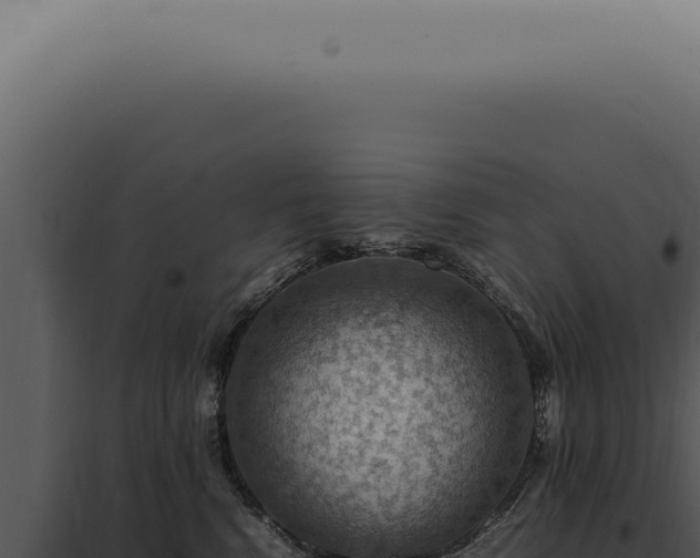 X0000098000472200804011837