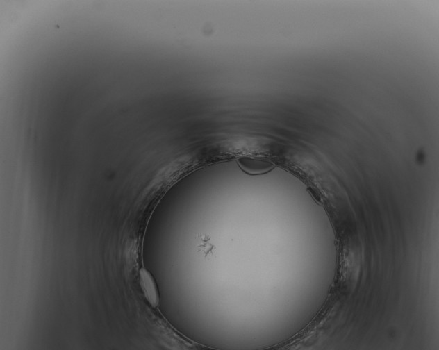 X0000098000473200804011837