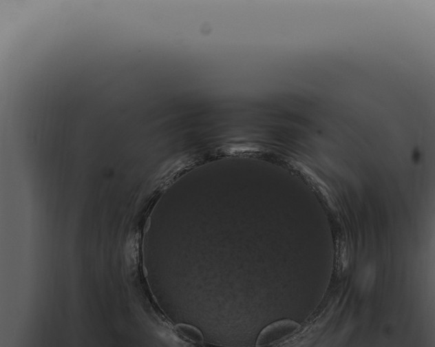 X0000098000475200804011837