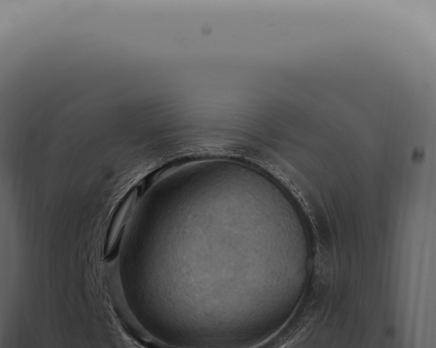 X0000098000481200804011836