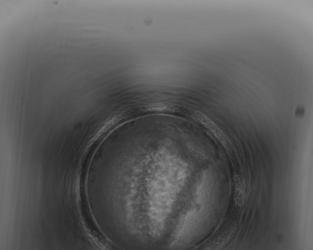X0000098000482200804011836