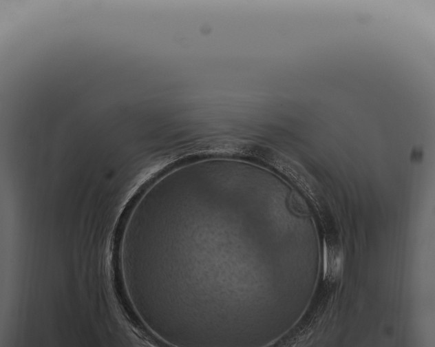 X0000098000483200804011836