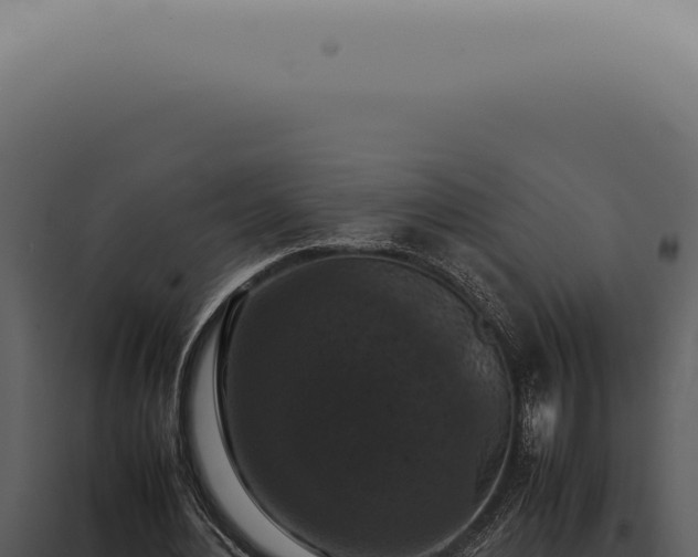 X0000098000484200804011836