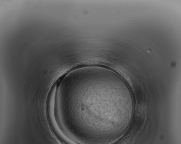 X0000098000485200804011836